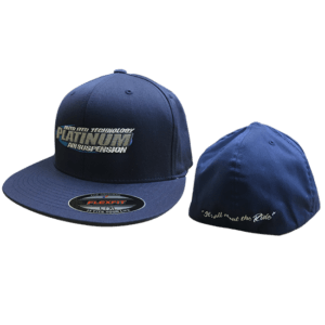 Platinum Fitted Hat