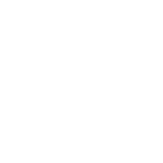 Honda Motorcycle Photo Gallery